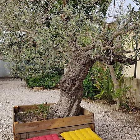 Les Figues Et Les Cigales Apartment Hyeres