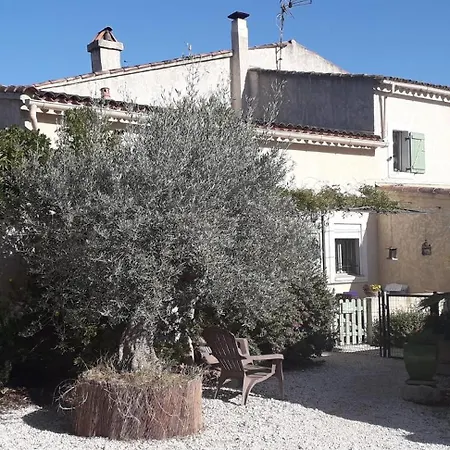 Les Figues Et Les Cigales Apartment *